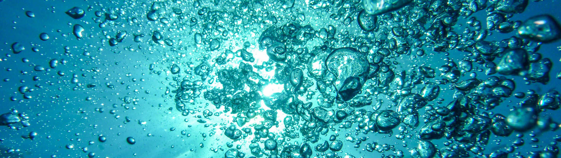 Bubbles Featured Image