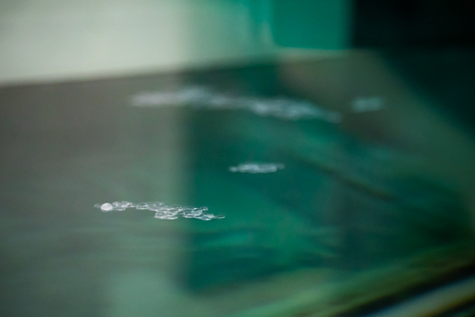 Small pieces of plastic floating on a water surface